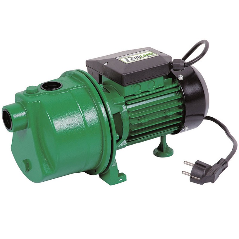 Pompe de surface RIBIMEX JET81 750W